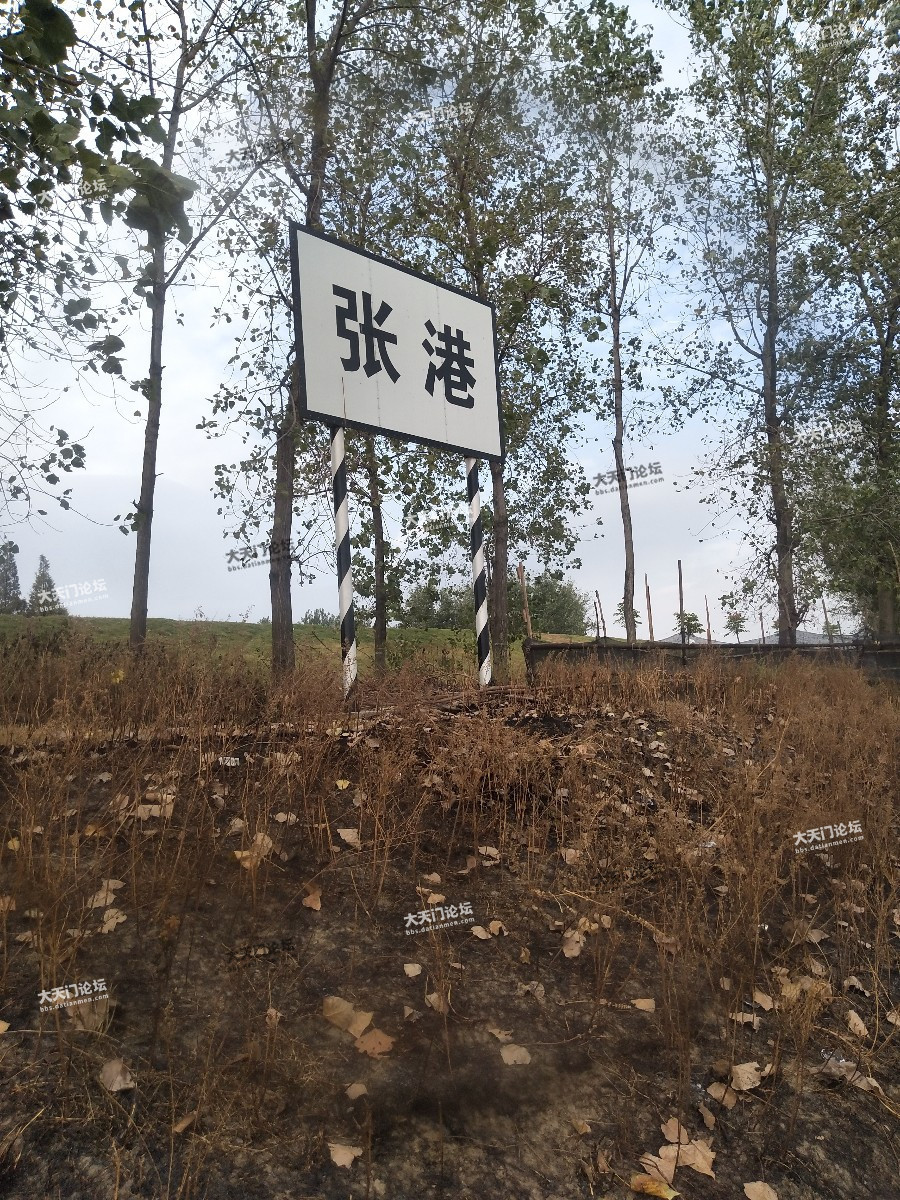 张港镇随拍 - 天门聚焦 - 天门论坛