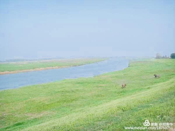 绿遍山原白满川，子归声里雨如烟