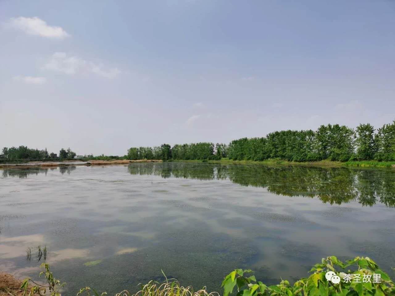 天门国家湿地公园张家湖踩点