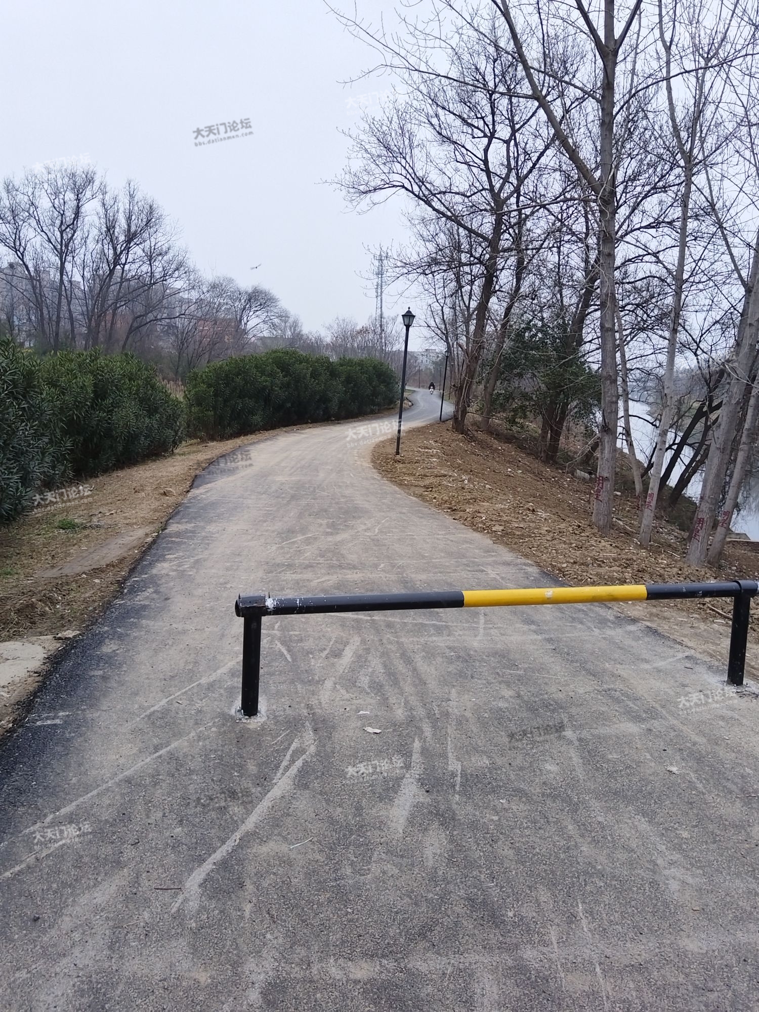 为什么其他的栏杆不像这样设置呢？既保证了限制机动车通行，又不影响正常通行